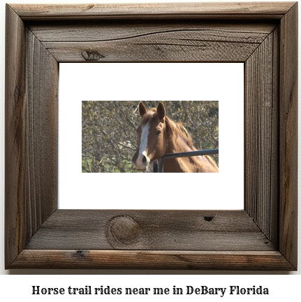 horse trail rides near me in DeBary, Florida